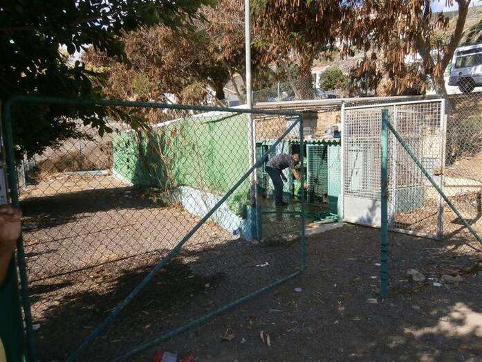 Imagen de archivo del albergue temporal de animales en el Barranco Real de Telde (Foto TA)